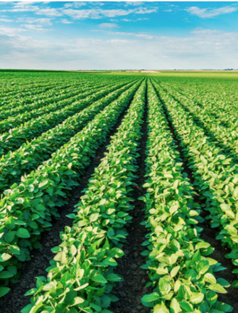 schermata 2026-02-24 alle 10